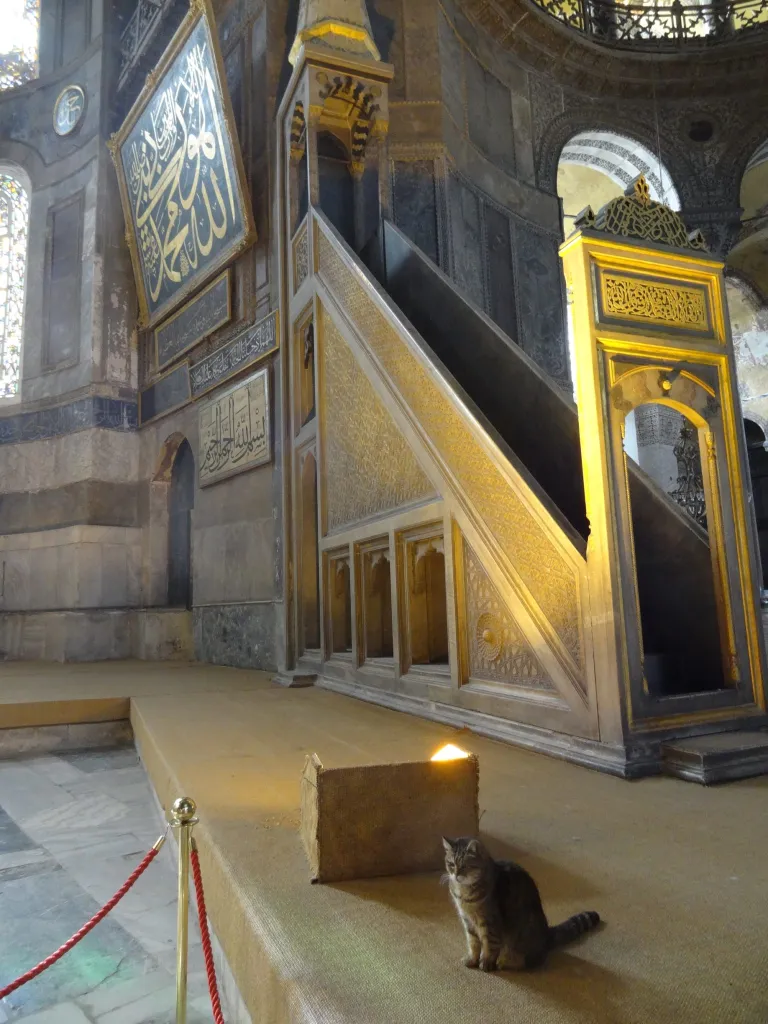 <p>Ou encore les musées avec ici la Basilique Sainte-Sophie</p>
